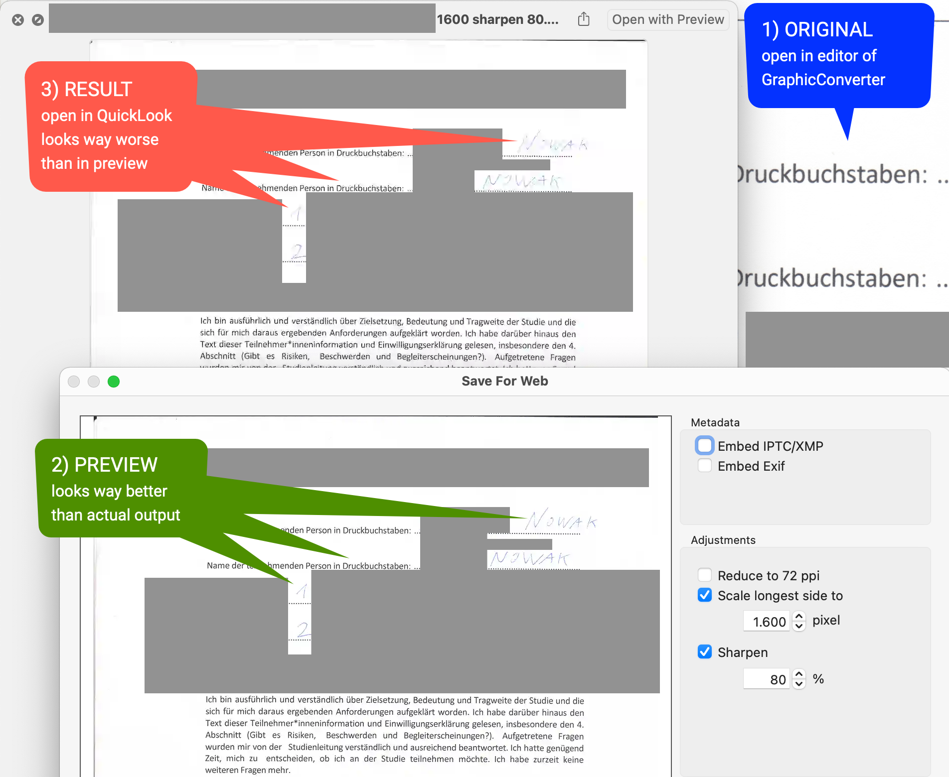 Save for Web Preview WEBP 1600 sharpen 80.png