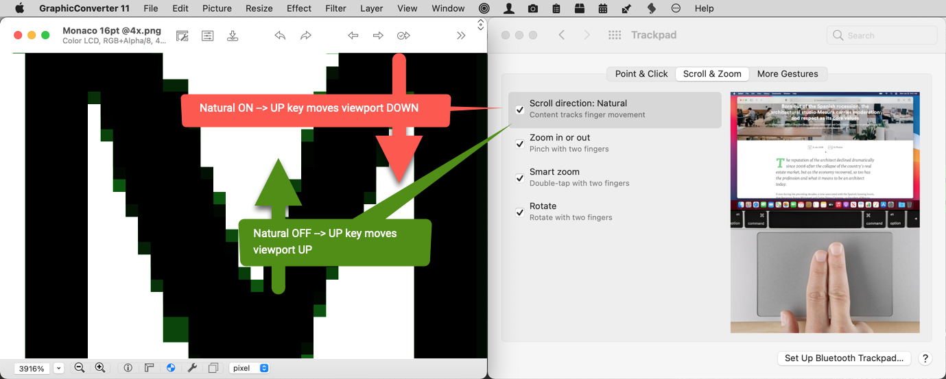 GraphicConverter Arrow Up Down keys in Editor misbehave with System Preference Scroll Direction set to Natural ON.png