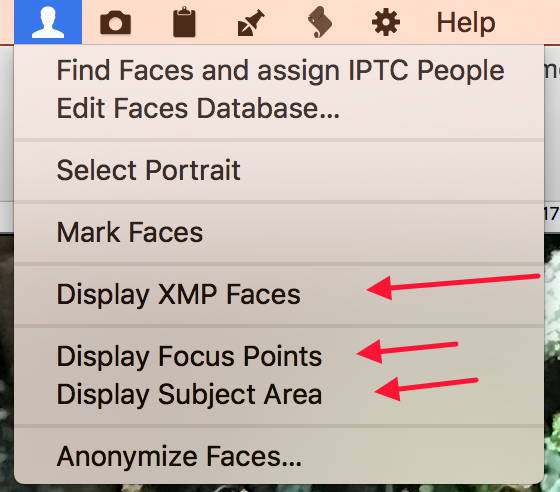 Display_Faces.jpg