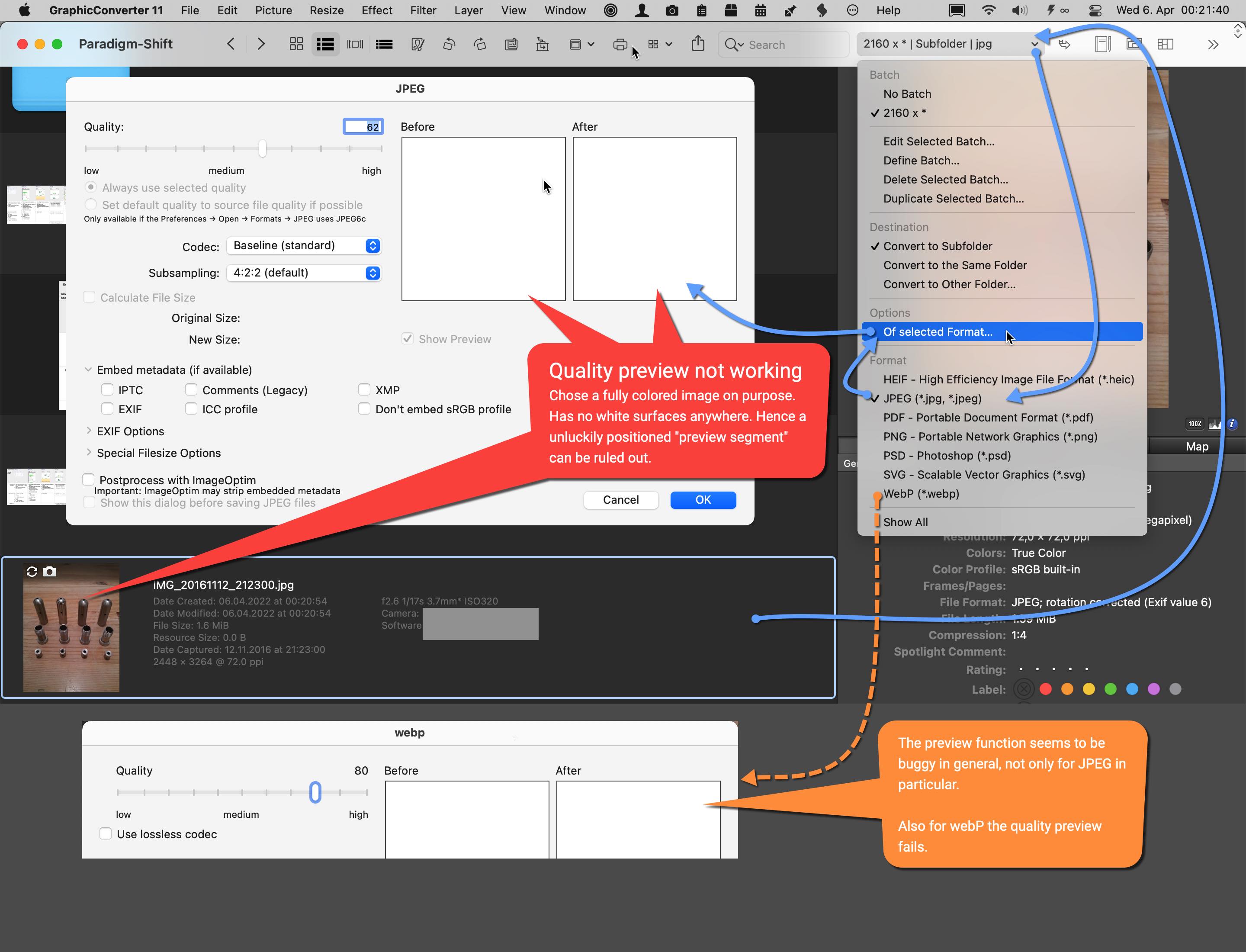 Quality preview before after boxes remain totally blank in GraphicConverter 11.jpg