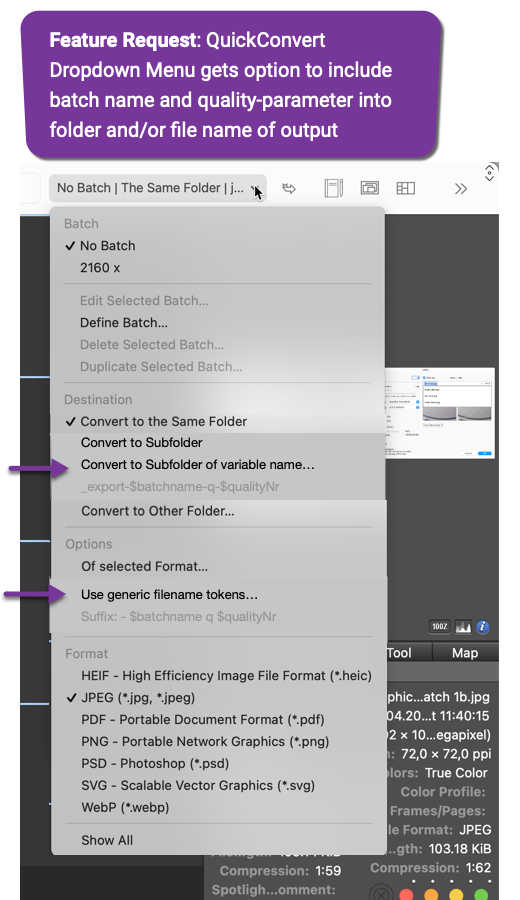 QuickConvert Dropdown Menu gets option to include batch-name and quality-parameter into folder and or file name.png