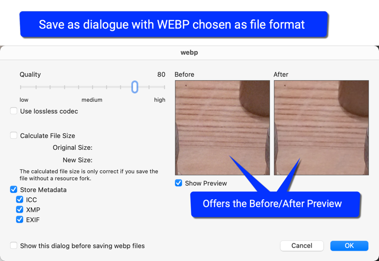 WEBP file format available in Save as dialog with preview in GC v11.6.png