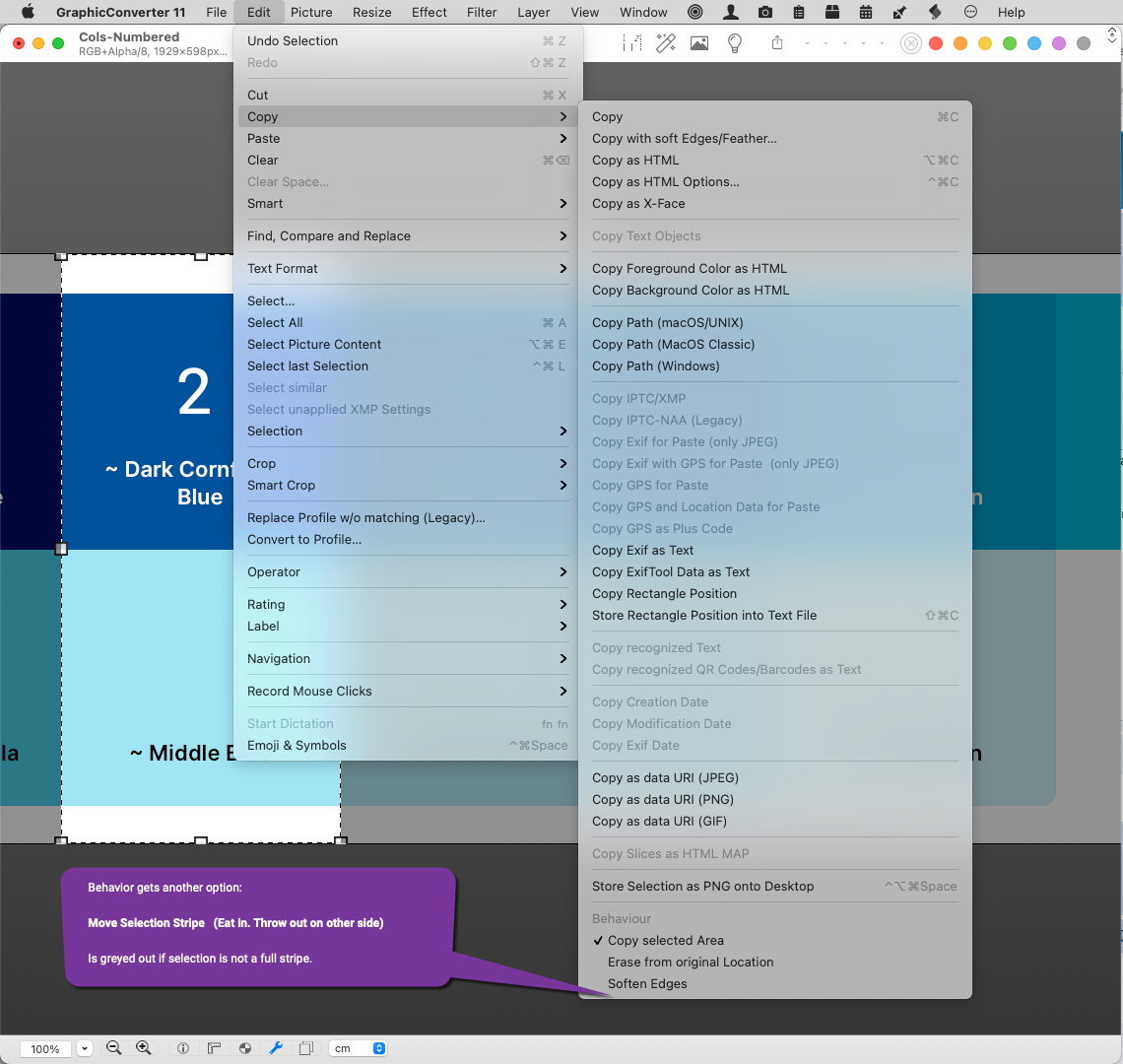 GraphicConverter 11 Move Selection Stripe.png